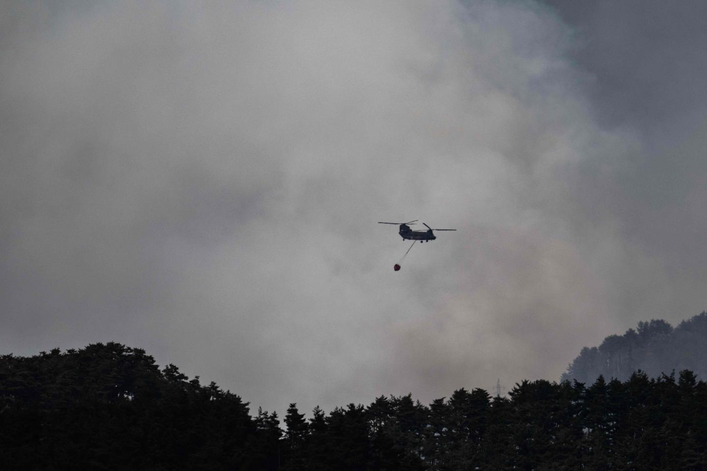 En Japón, cientos de bomberos combaten incendios forestales en el norte; más de 3.200 personas evacuadas