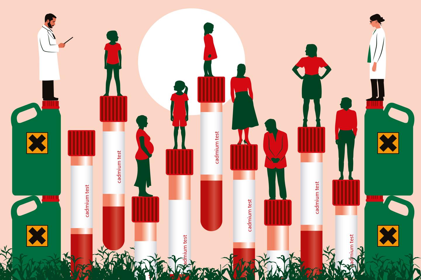 Le dépistage du cadmium bientôt remboursé en France mais jugé « trop restrictif » par les médecins