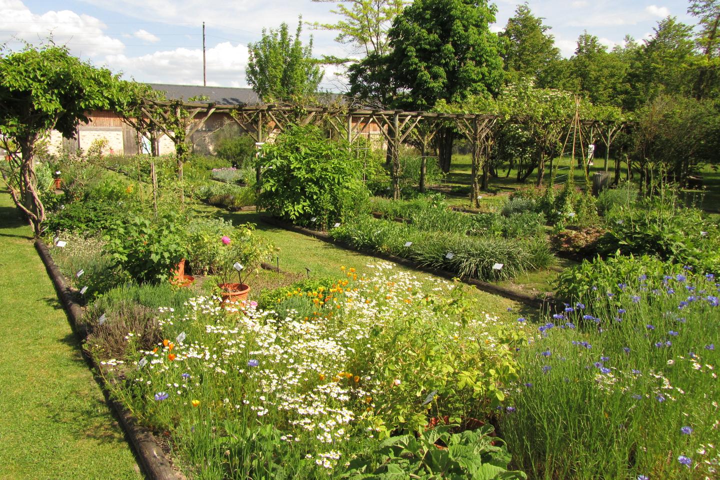 Une balade à Milly-la-Forêt, du Cyclop au Conservatoire national des plantes