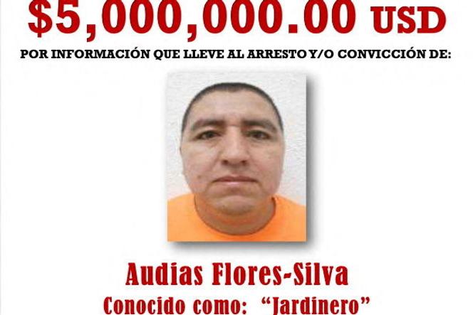 Notificação de procuração do Departamento de Estado dos EUA sobre Audias Flores-Silva.