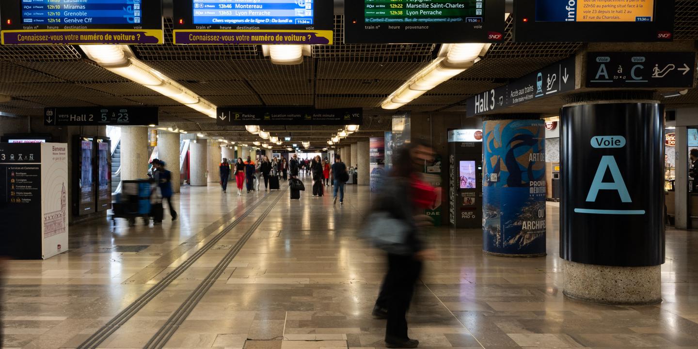 Gare de Lyon : 500 agents mobilisés pour des travaux massifs le pont du 1er mai