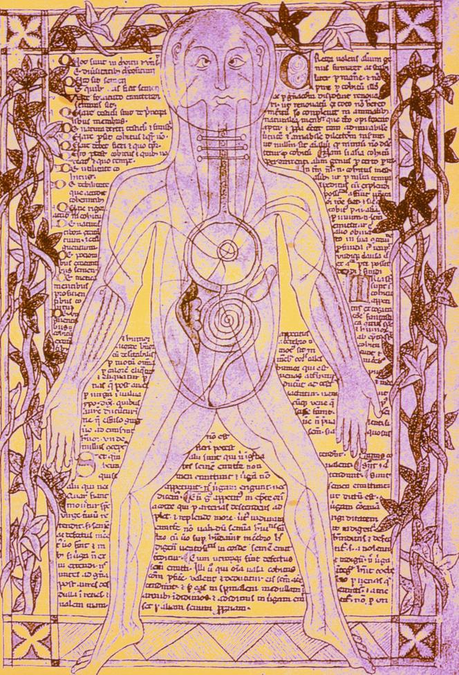 O sistema vascular, descrito num manuscrito do século XIII.