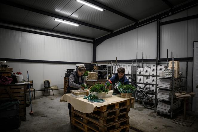 Funcionários preparam buquês de lírios do vale, em Mervans (Saône-et-Loire), 23 de abril de 2026. 