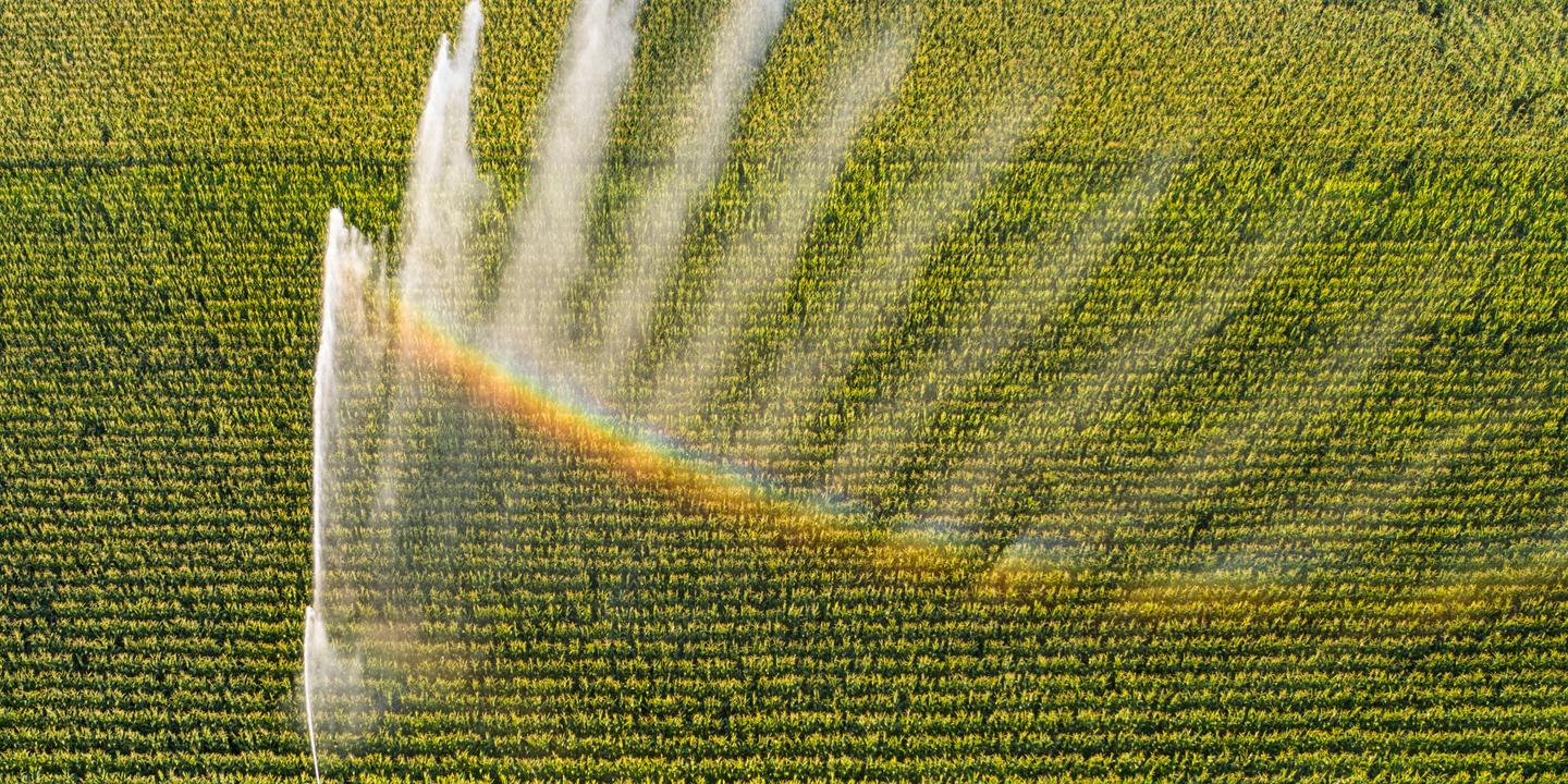Agriculture : les sciences sociales menacées dans la formation des agronomes