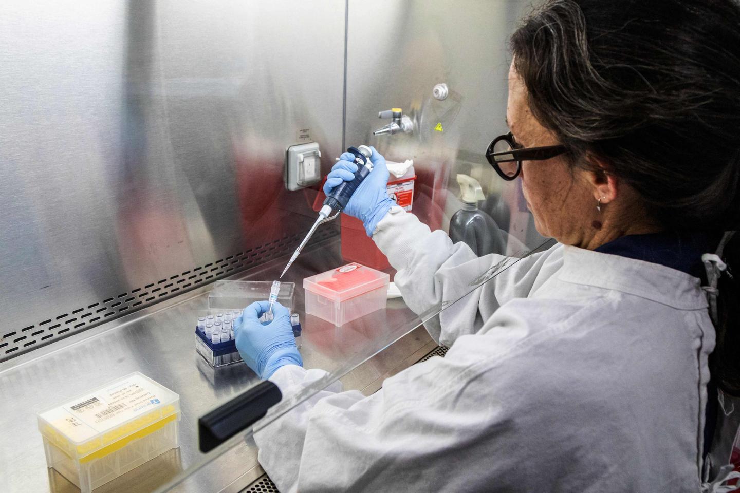 Hantavirus : pour le spécialiste Gustavo Palacios, « le virus de l’espèce Andes n’est pas aussi transmissible que d’autres virus respiratoires »