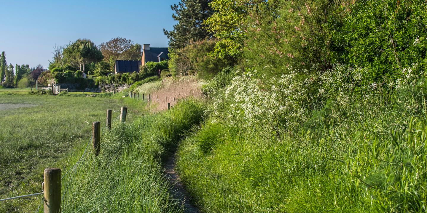 Les chemins de Joseph : un roman sensible et contemplatif