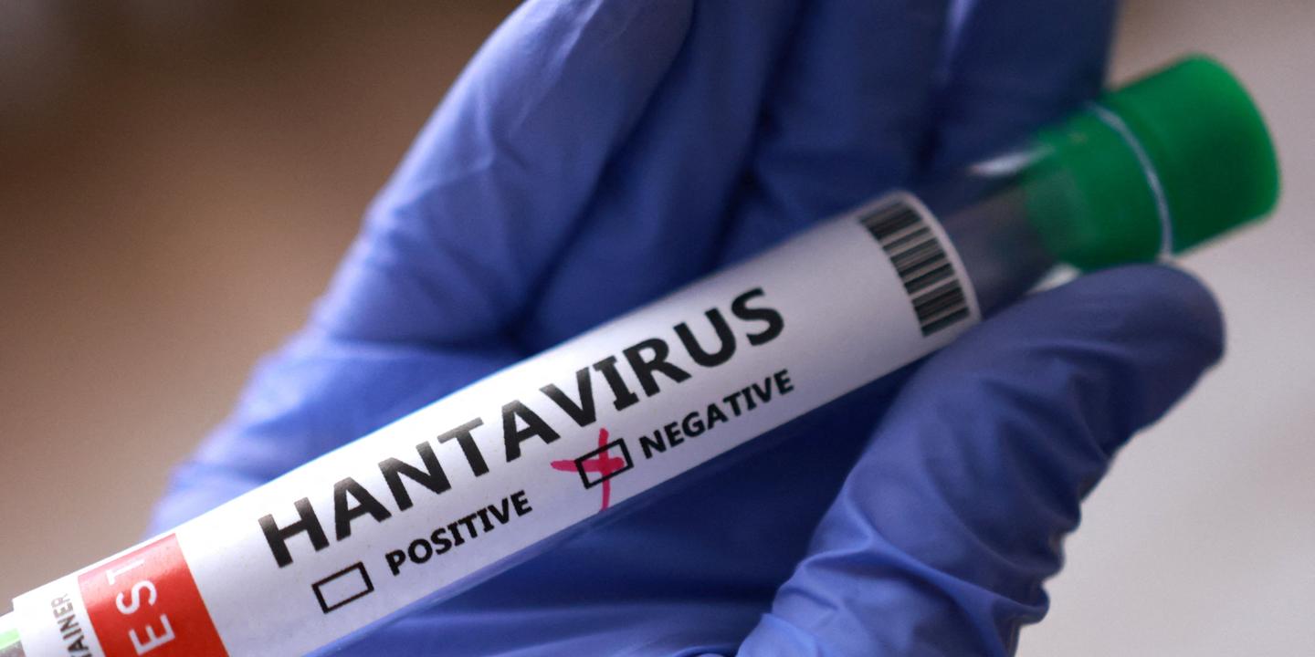 Hantavirus : les complotistes recyclent leurs récits du Covid-19