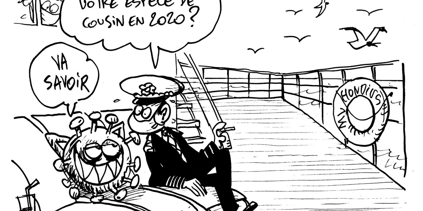 Hantavirus à bord : un passager contaminé sur un vol international