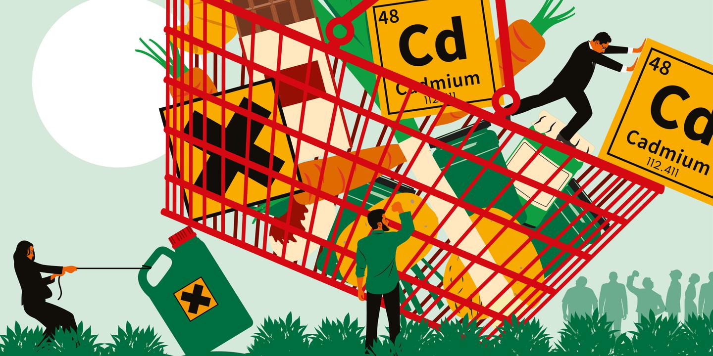 Cadmium : mobilisation pour protéger l'alimentation des Français