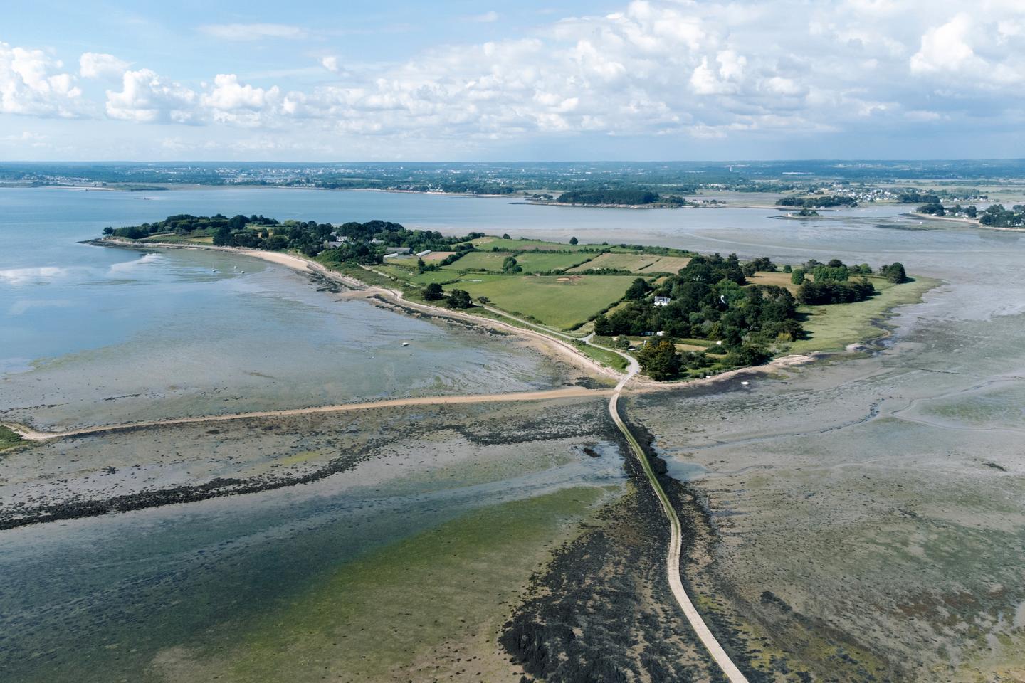 L’île Tascon, un refuge de biodiversité caché dans le golfe du Morbihan