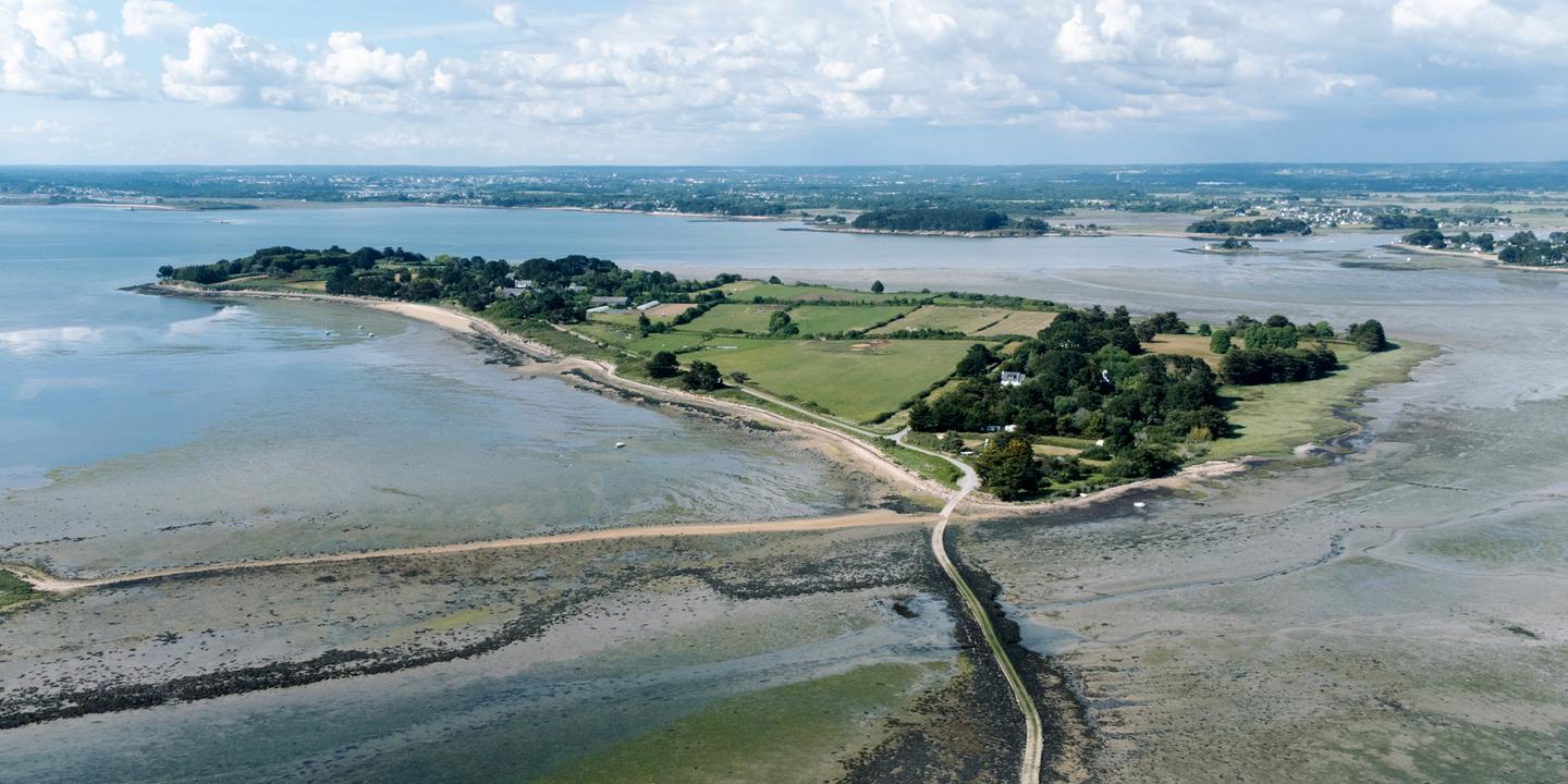 L'île Tascon : un refuge de biodiversité méconnu dans le Morbihan