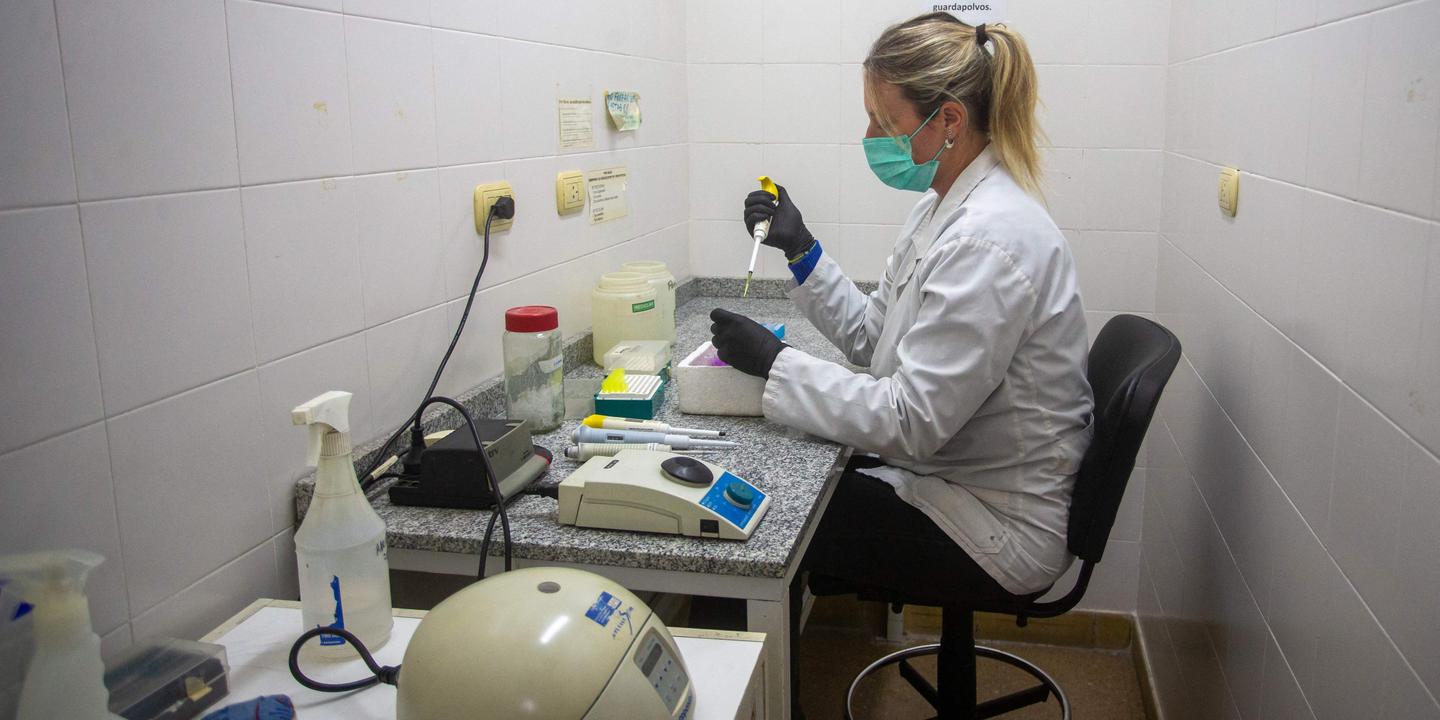 EN DIRECT, hantavirus : l’OMS confirme que huit cas sont associés au virus des Andes ; des « investigations sont en cours » pour trouver la source de la flambée épidémique