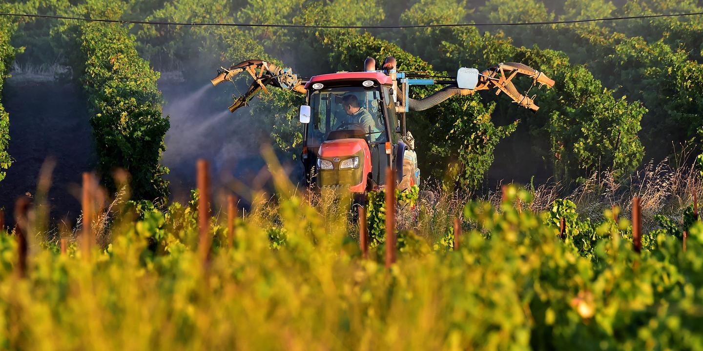Pesticides : fluidifier l'autorisation des nouveaux produits
