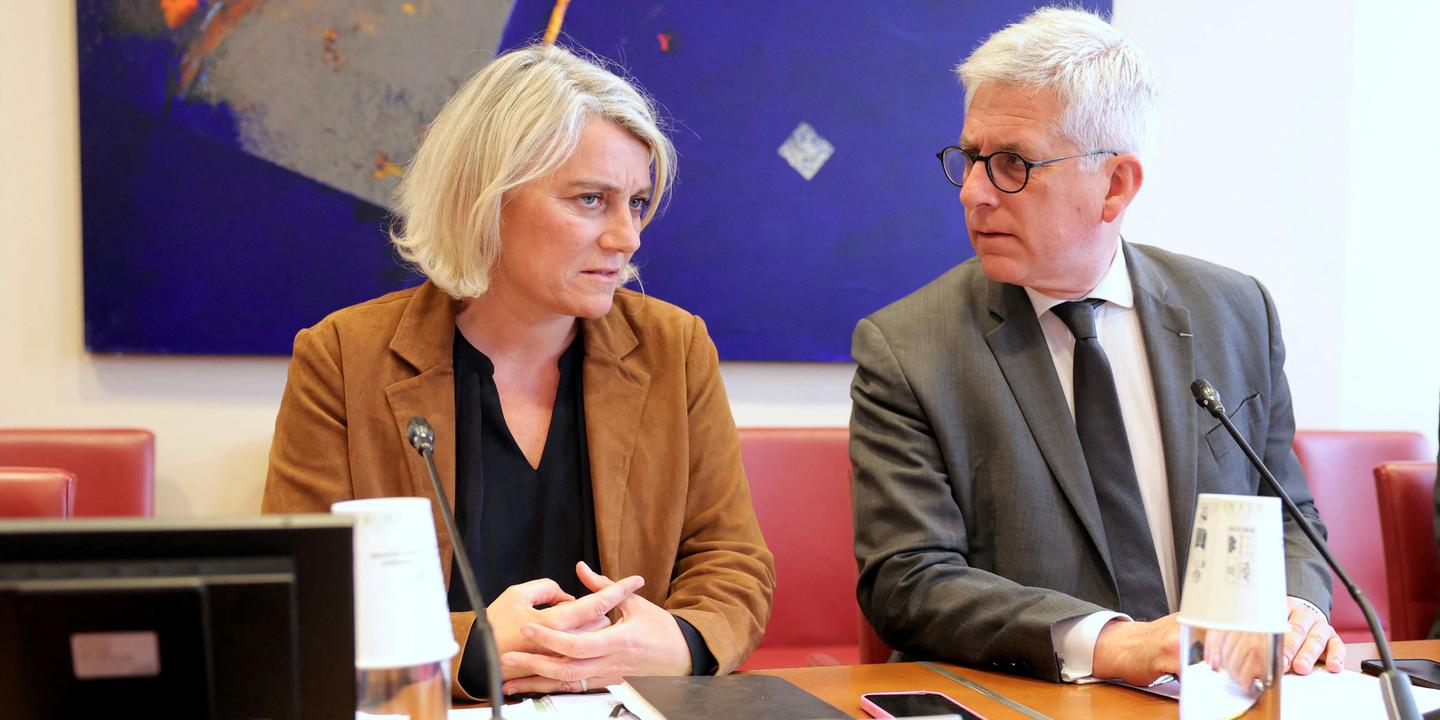 EN DIRECT, hantavirus : ce qu’il faut retenir de l’audition de la ministre de la santé, Stéphanie Rist, devant la commission des affaires sociales de l’Assemblée nationale