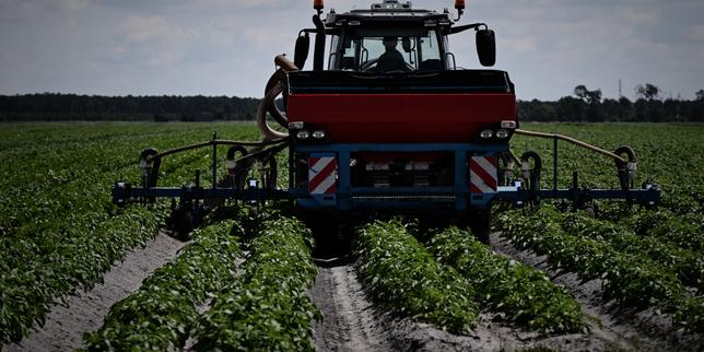 Biodiversité : la France présente un plan de restauration de la nature sans ambition et sous-financé