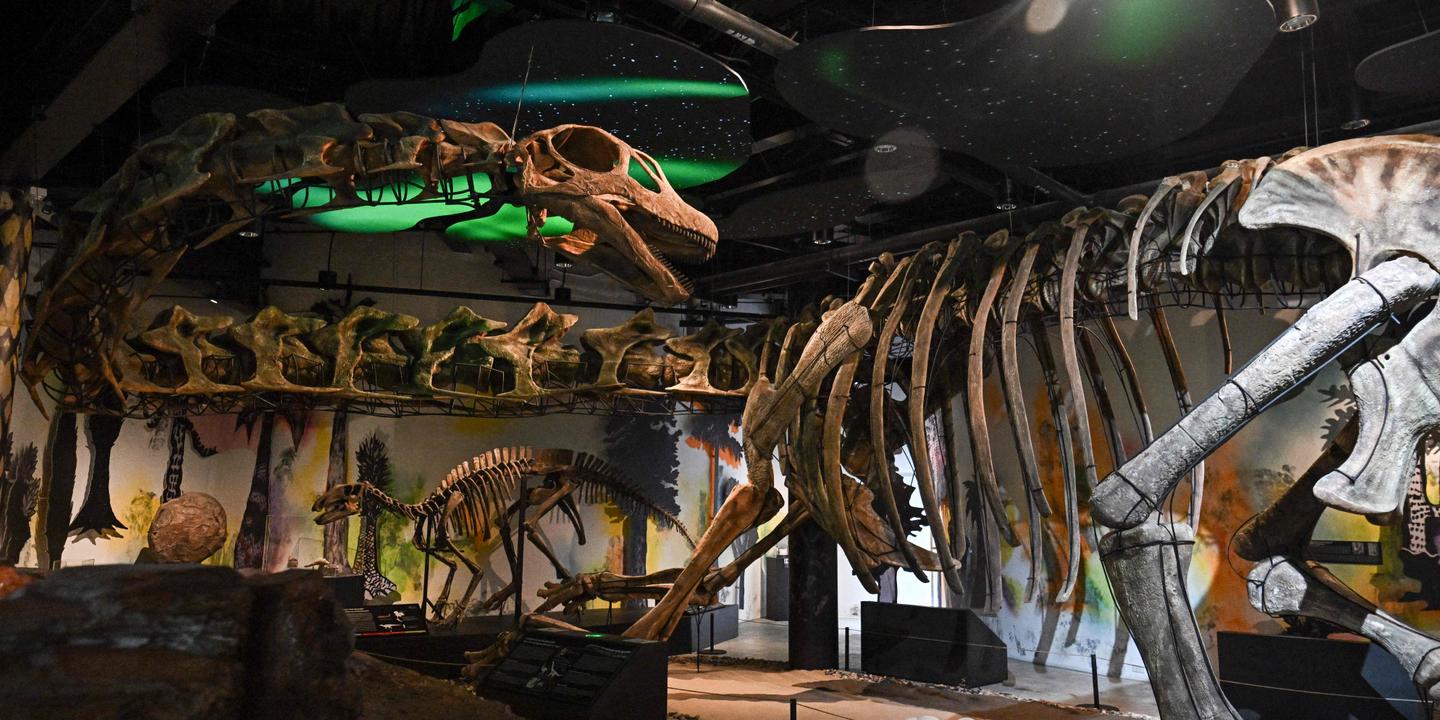 Nagatitan : nouveau dinosaure géant découvert en Thaïlande