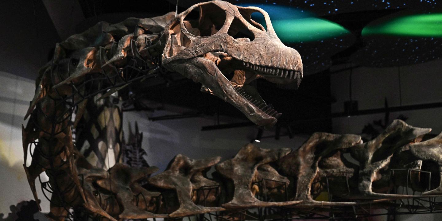 Nagatitan : le nouveau dinosaure géant découvert par des chercheurs