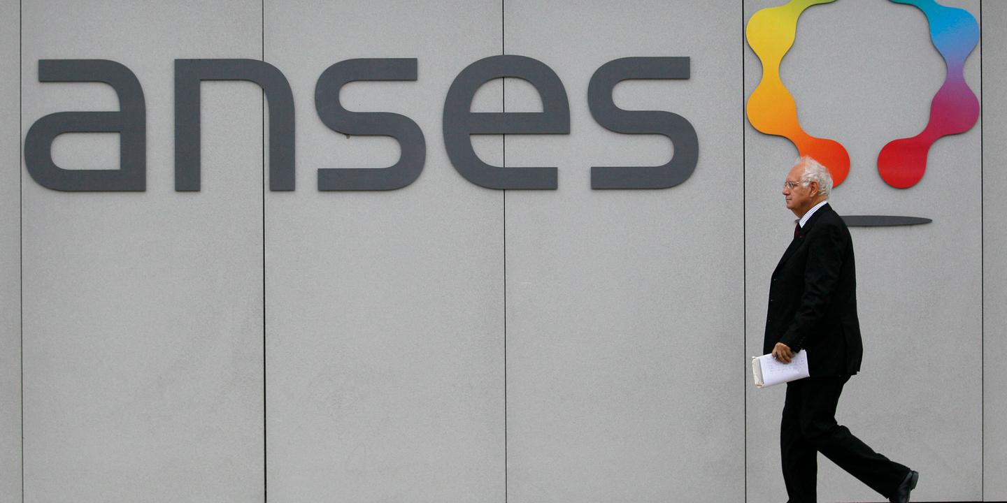 Elisabeth Claverie de Saint Martin nommée à la tête de l’Anses