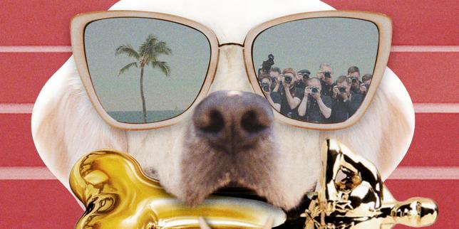 La Palme Dog ou les dessous du star-système animal