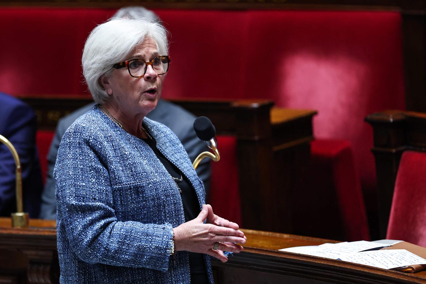 Loi de programmation militaire 2024-2030 : l’Assemblée nationale approuve 36 milliards d’euros supplémentaires