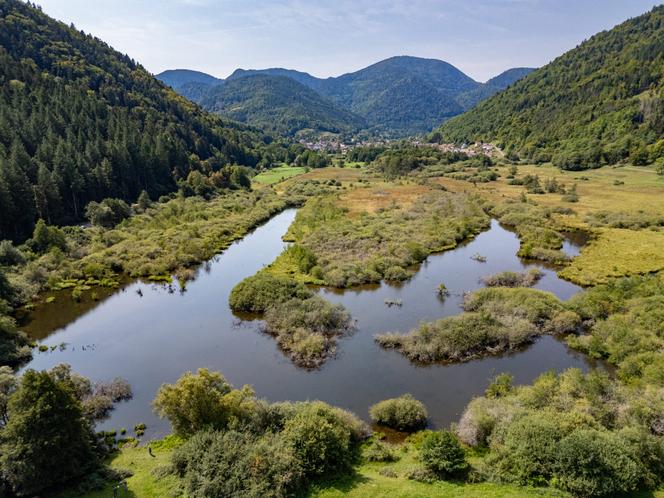 Vue aérienne d’une tourbière, en Alsace, en 2025.
