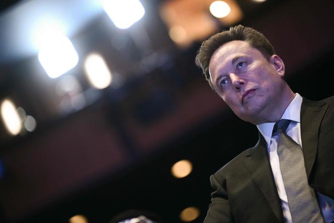 Elon Musk, à Washington, le 19 novembre 2025.