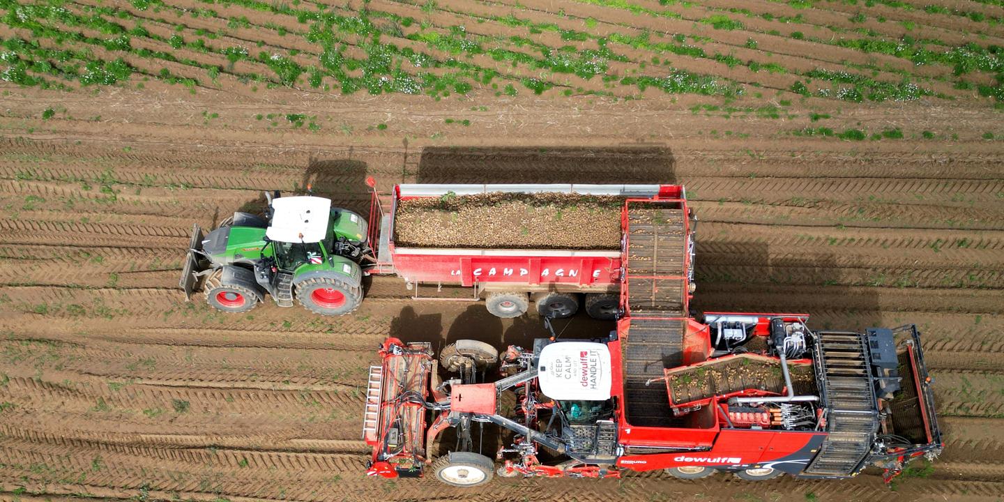 Premier pesticide à ARN interférent autorisé en Europe attaqué en justice