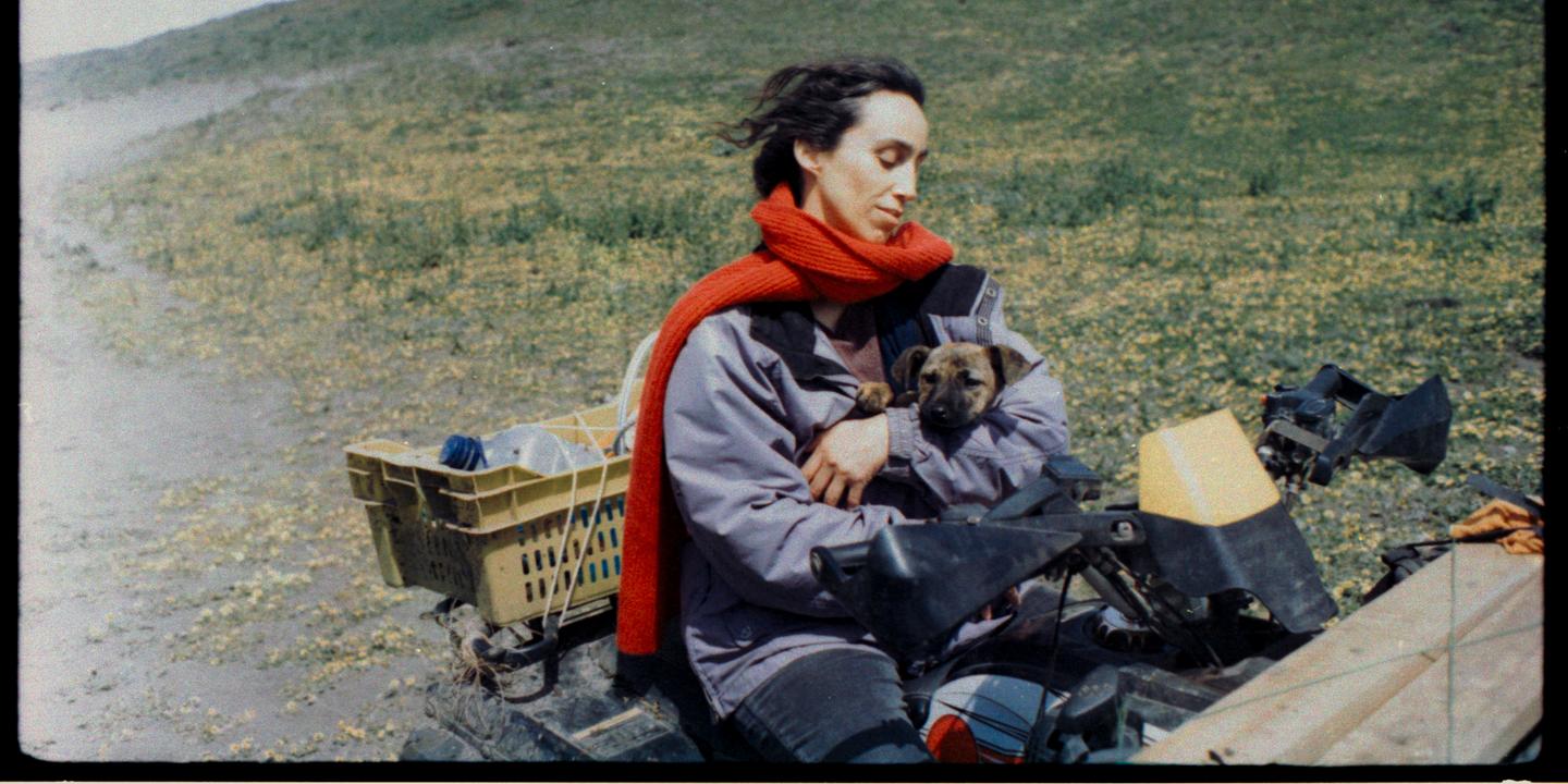 Palme Dog 2026 : La Chienne de Dominga Sotomayor récompensée à Cannes