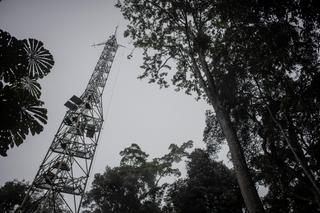 Une tour à flux qui quantifie le carbone absorbé ou émis par la forêt, à 100 km de la ville de Kisangani, dans la province de Tshopo (République démocratique du Congo), le 2 septembre 2022.
