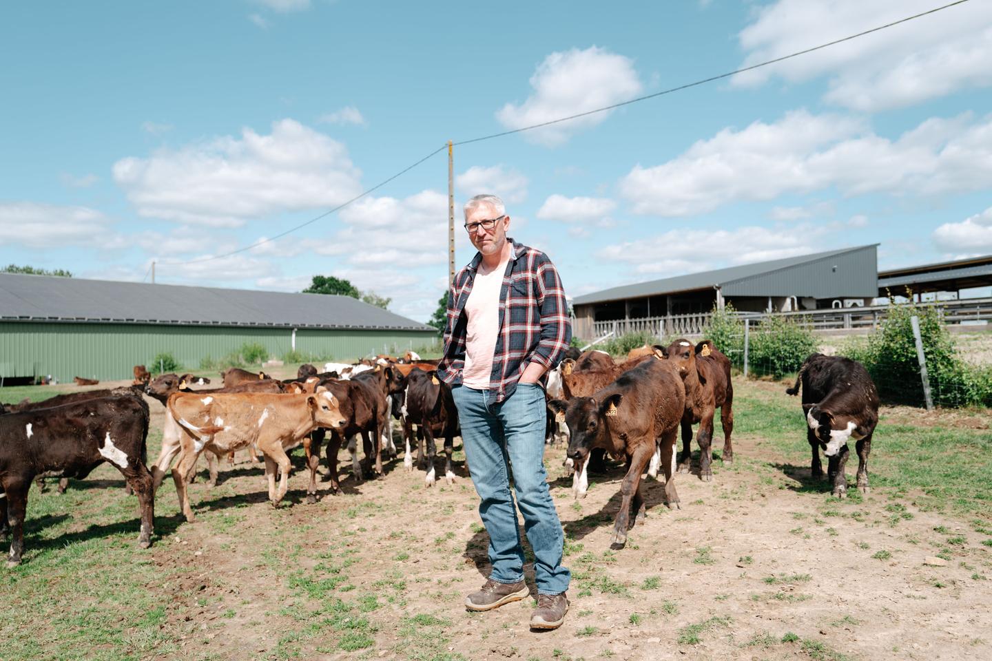 Farmers in Mayenne reduce nitrate pollution by letting their cows graze more