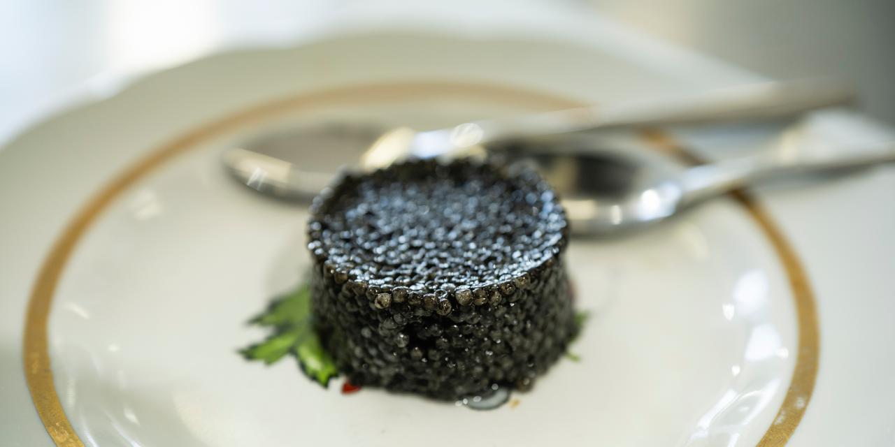 Sturgeon caviar in the laboratory of Kaspi Bekireci LTD. Atyrau region, Kazakhstan, 2026.