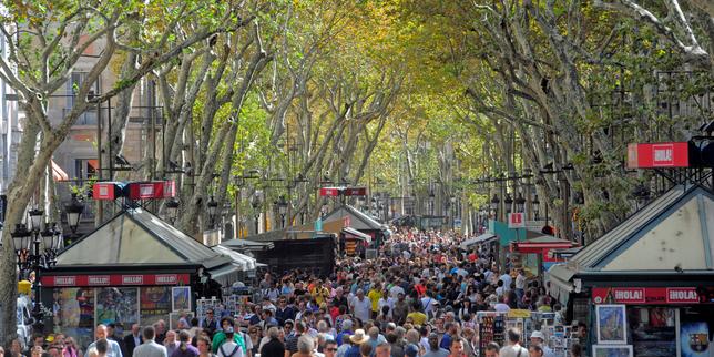 A Barcelone, le règne des platanes touche à sa fin