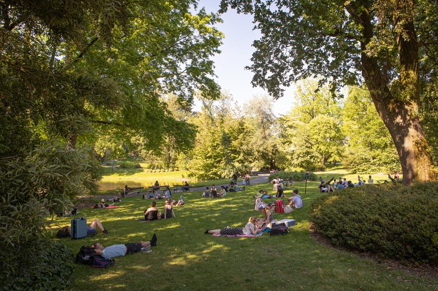 Au Jardin des plantes à Nantes (Loire-Atlantique), les pelouses sont exceptionnellement ouvertes au public, le 25 mai 2026.