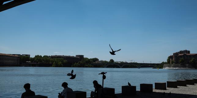 EN DIRECT, canicule | 36,6 °C à Bordeaux et 37,2 °C à Perpignan : la vague de chaleur se poursuit, mais commence à régresser dès ce soir, selon Météo-France