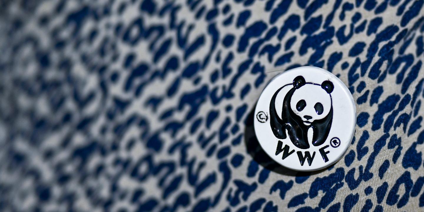 Démission de la présidente du WWF : les Juifs français au cœur d'une crise interne