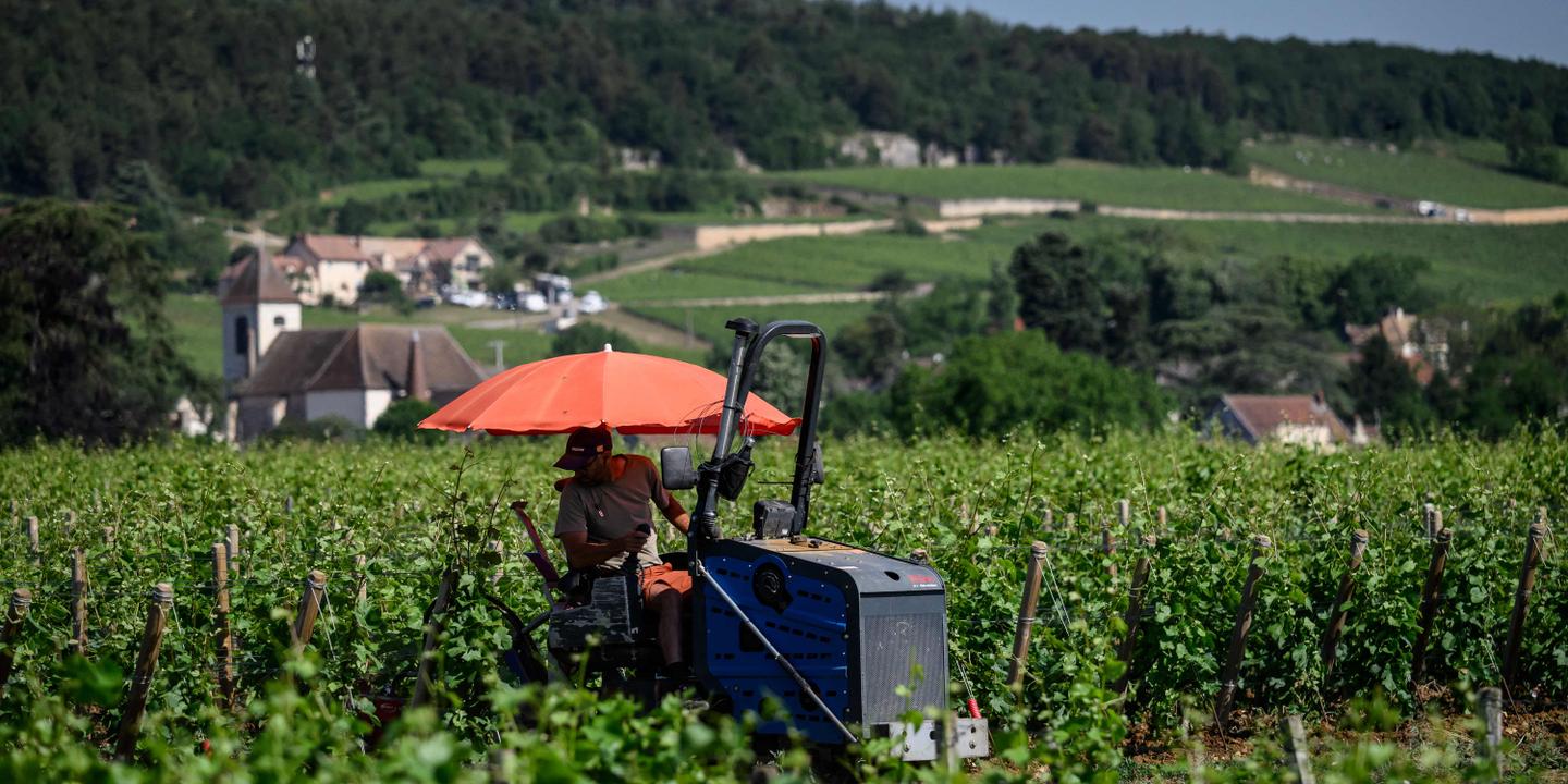Vagues de chaleur : 200 milliards d'euros de coût pour la France d'ici 2030