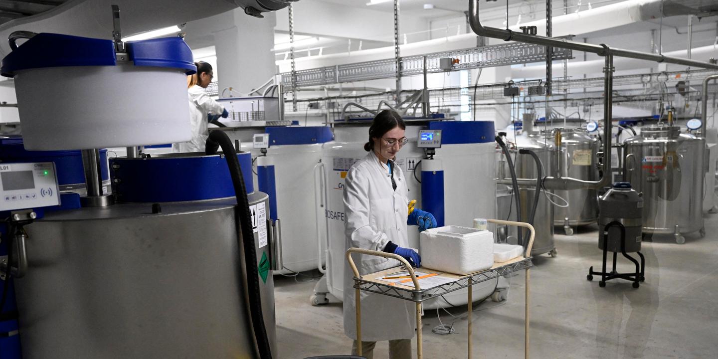 60 ans après sa création, le CIRC plus nécessaire que jamais