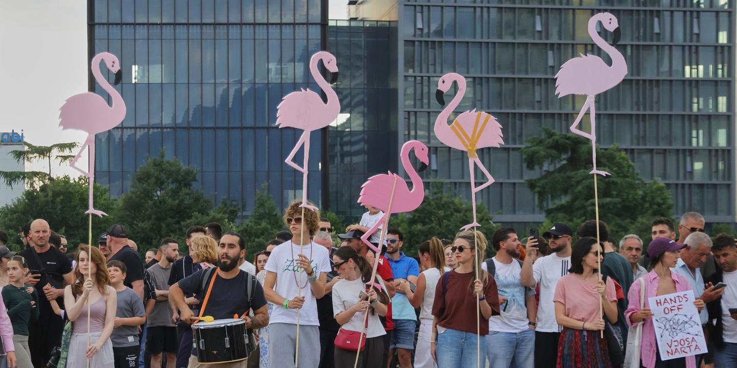 En Albanie, la révolution des flamants roses contre la famille Trump