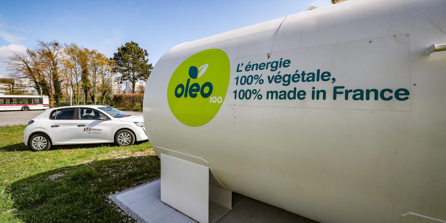 Agrocarburants : une menace pour la sécurité alimentaire mondiale