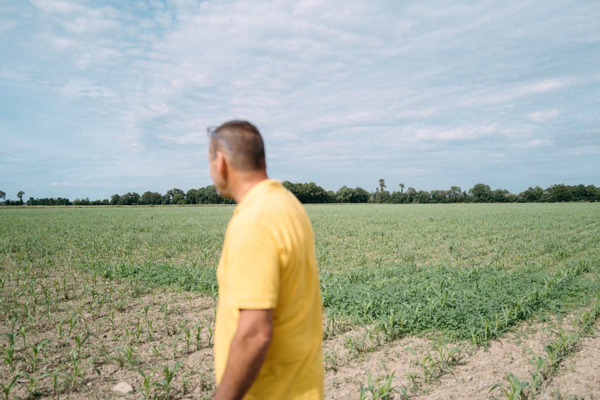 Un agriculteur sur l’une de ses parcelles avant un désherbage mécanique, à Maxent (Ille-et-Vilaine), le 1ᵉʳ juin 2026.