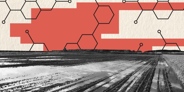 L’usage des pesticides repart à la hausse en France, en particulier les substances de la famille des PFAS
