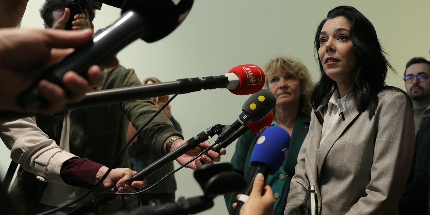 Sophia Chikirou relaxée de tentative d'escroquerie mais condamnée pour vol de chèques