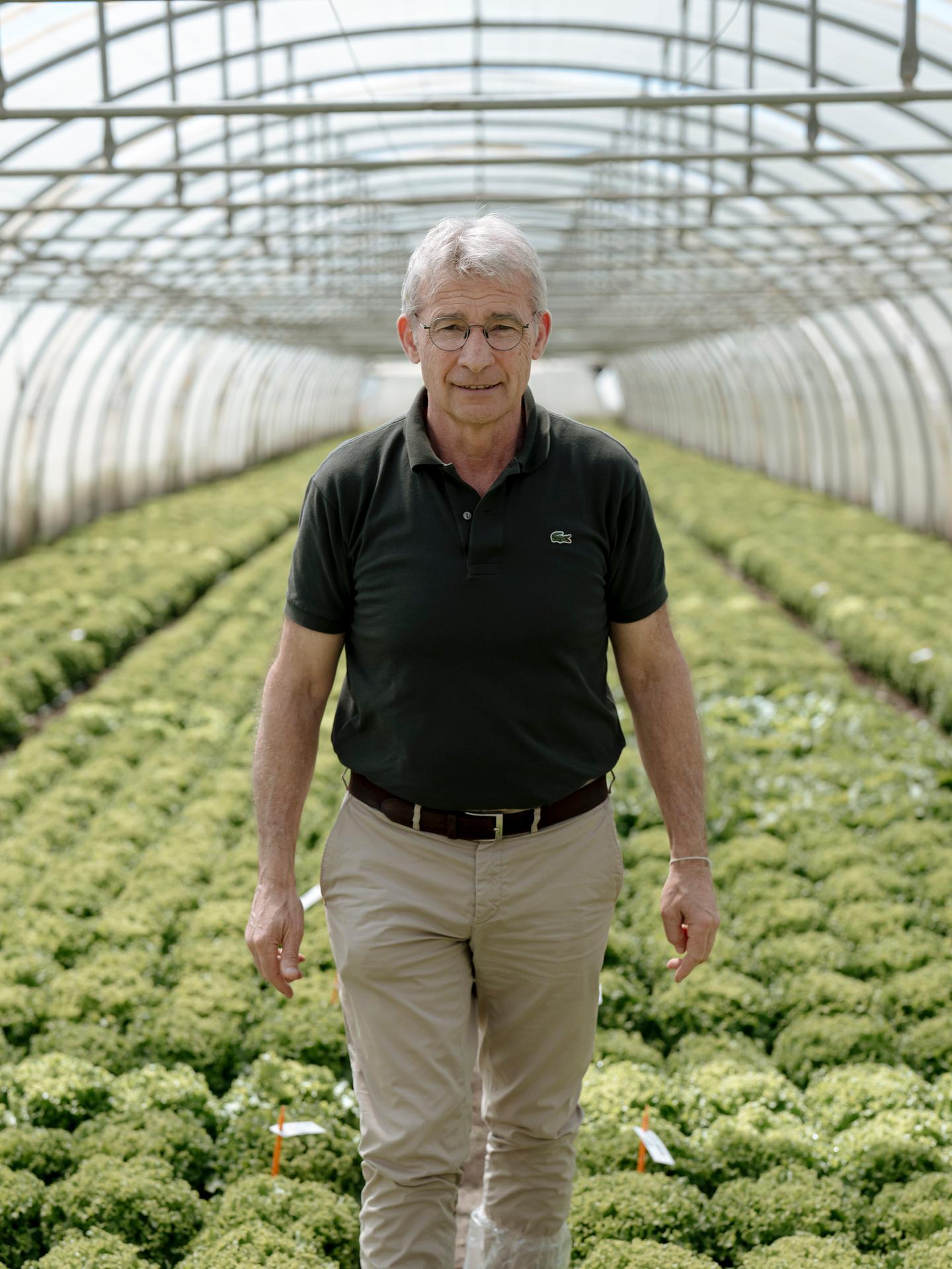 Jacques Gautier, président de Gautier Semences, dans un tunnel d’expérimentation et de sélection de laitues, à Eyragues (Bouches-du-Rhône), le 29 avril 2026.