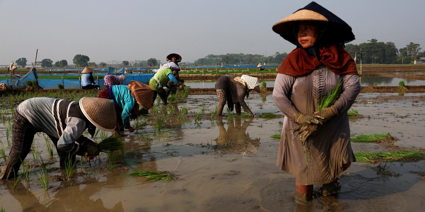 El Niño : crainte d'une aggravation de l'insécurité alimentaire mondiale