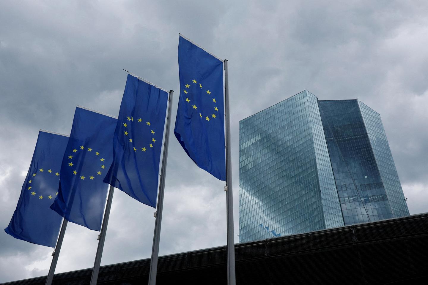 'Better an imperfect digital euro than no digital euro at all'
