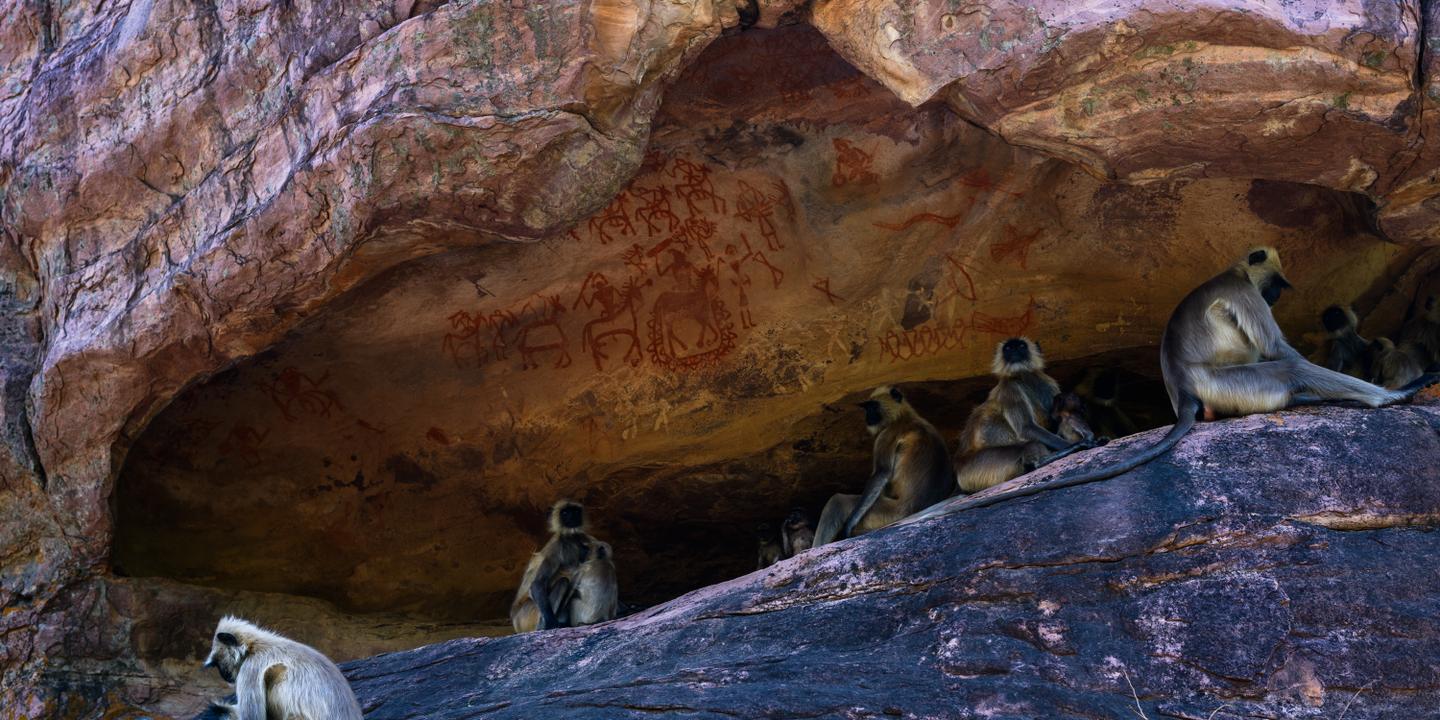 Bhimbetka en Inde : une galerie d'art rupestre livre ses secrets