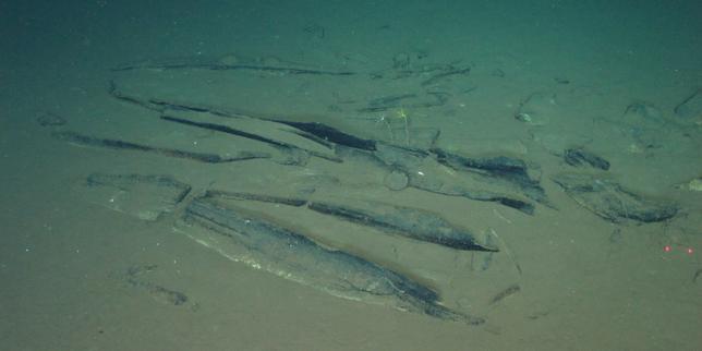 Mysterious whale 'necropolis' discovered at the bottom of the Indian Ocean