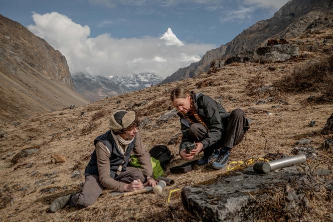 Les mycologues Toby Kiers et Merlin Sheldrake effectuent des prélèvements dans les montagnes du Bhoutan, le 20 mars 2026.