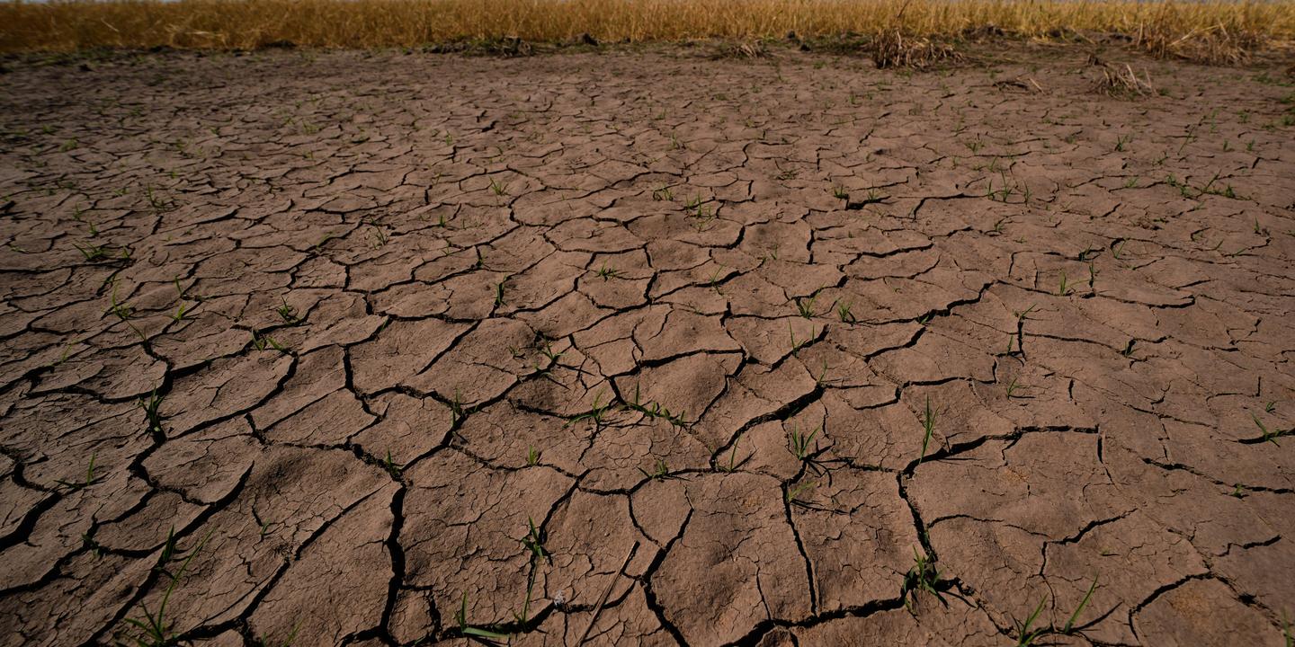 El Niño a commencé : réchauffement du Pacifique équatorial