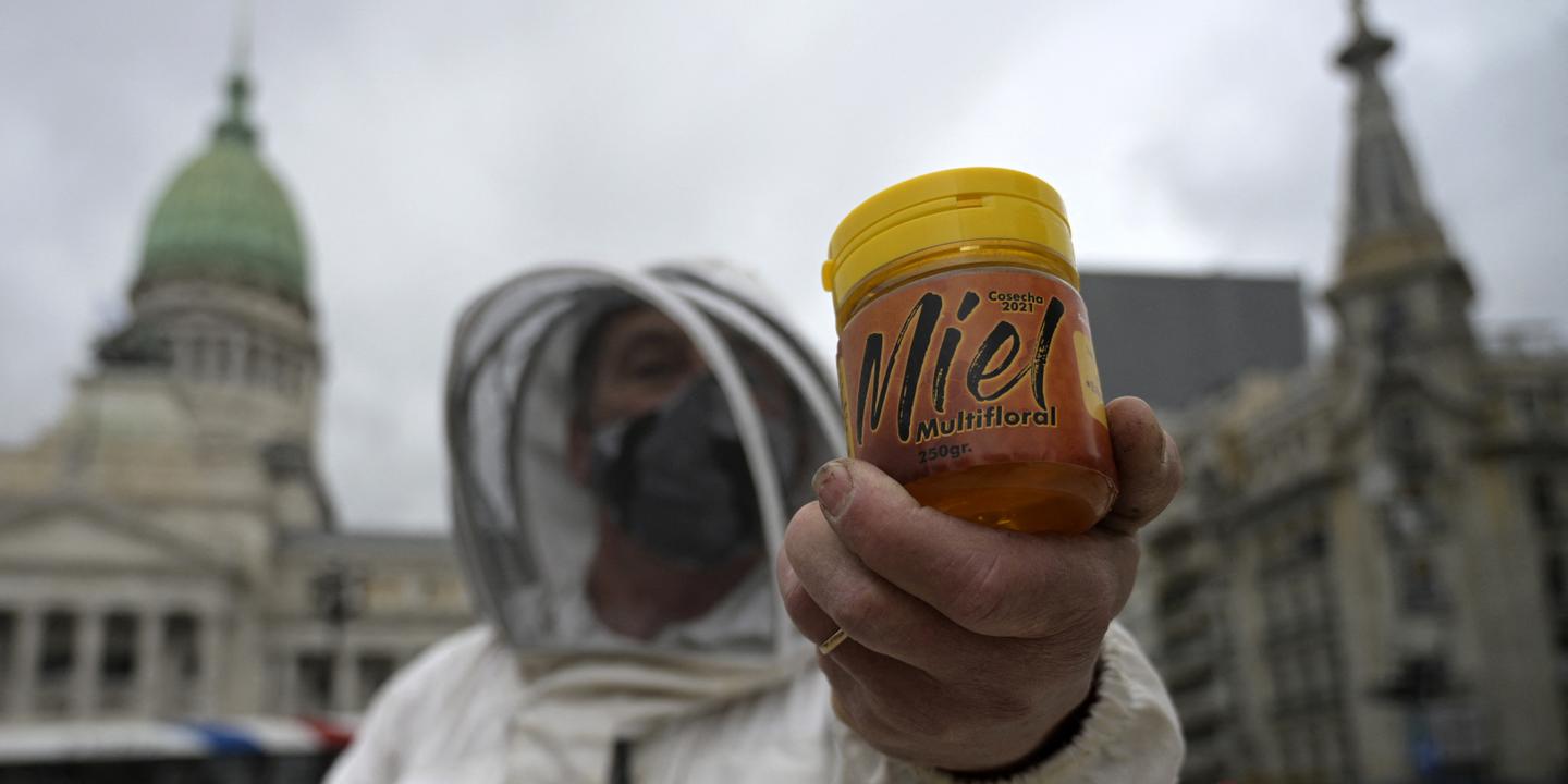 Directive petit-déjeuner : transparence accrue pour le miel
